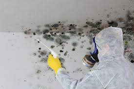 Best Asbestos and Lead Testing During Mold Inspection  in Woodlands, CA